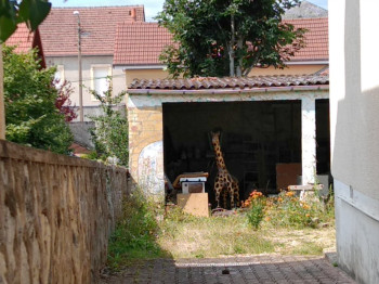Une girafe à Dijon