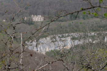 Vue sur les ruines de l'Abbaye Sainte-Marguerite