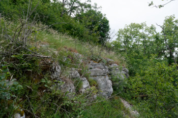 Forêt communale de Savigny-le-Sec