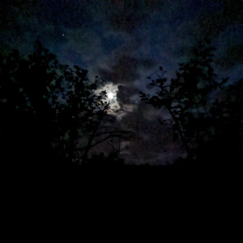 Ciel nocturne nuageux