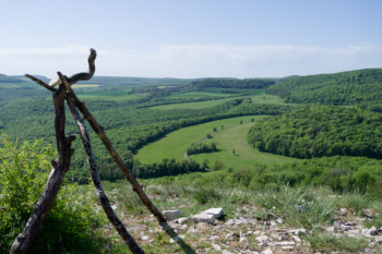 route de la Rente Noire, bois de la Motte - Urcy