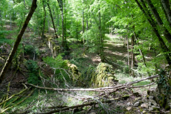 combe au Loup - Urcy