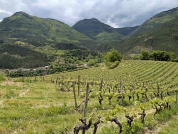 Saint-Benoit-en-Diois