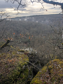 Savigny-le-Sec, Point de vue