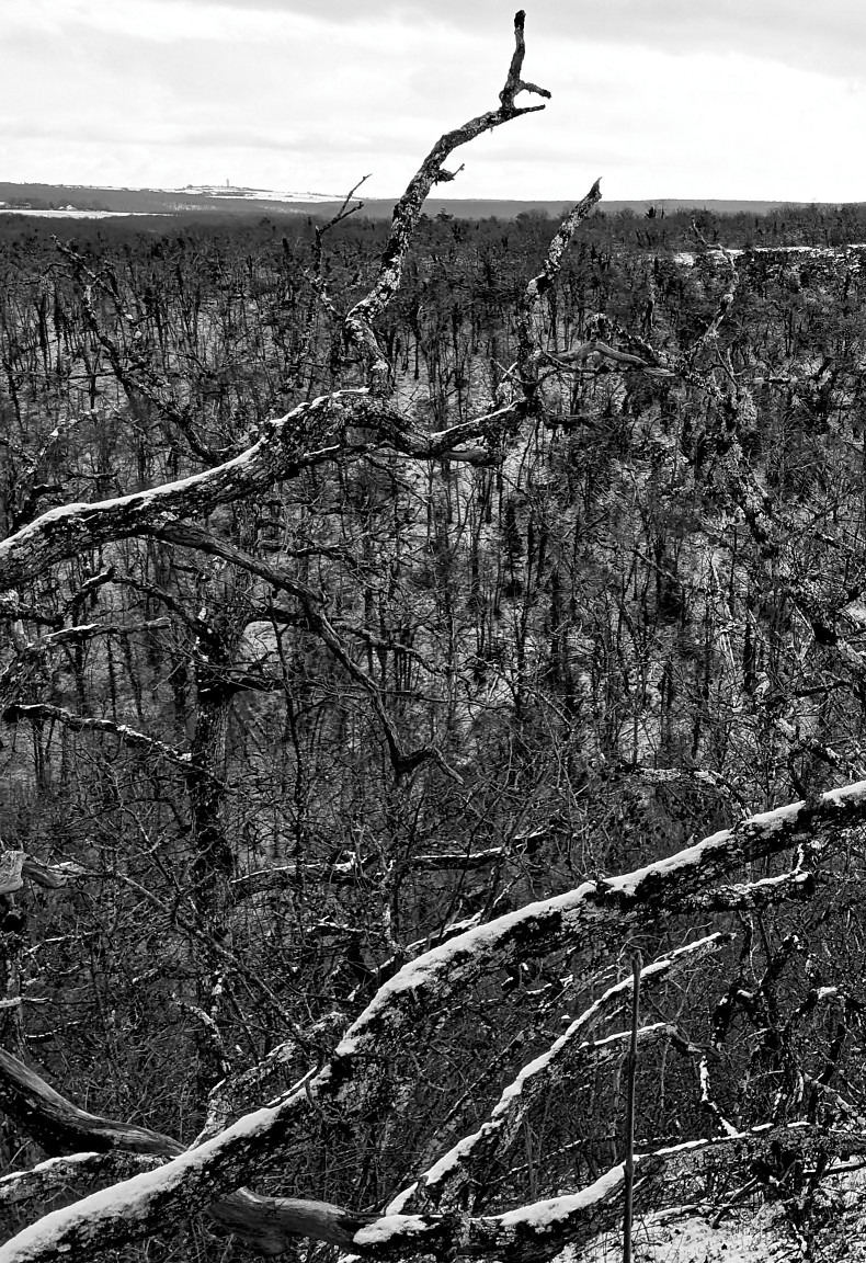 Étaules, Combe Renevey - Janvier 2026