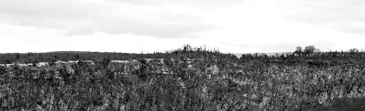 Étaules, Combe Renevey - Janvier 2026