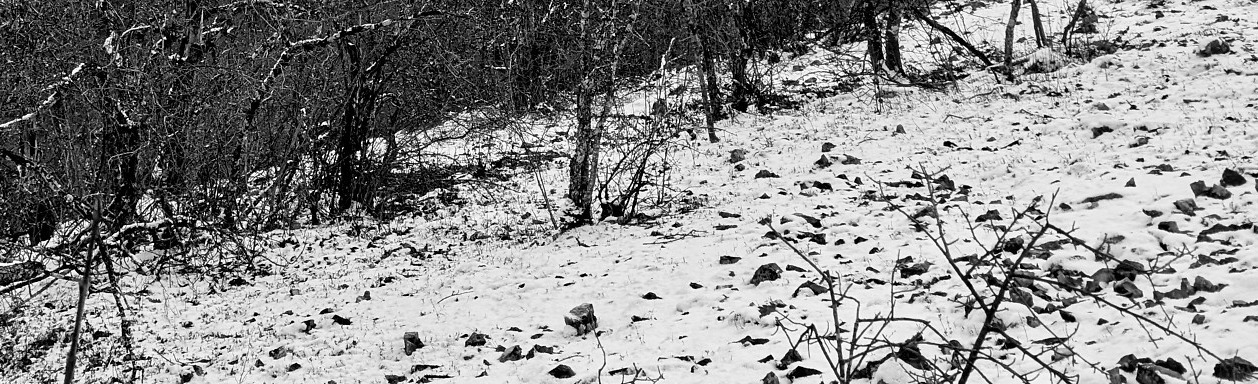 Étaules, Combe Renevey - Janvier 2026