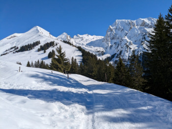 CR de Joux à Merdassier