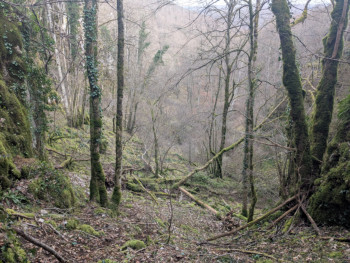 combe Rabot - Val-Suzon