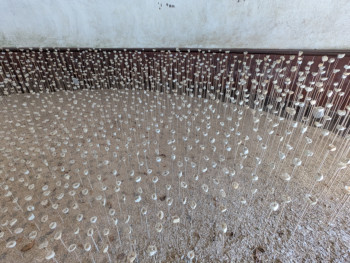 Le Nid des murmures - Stéphane Guiran