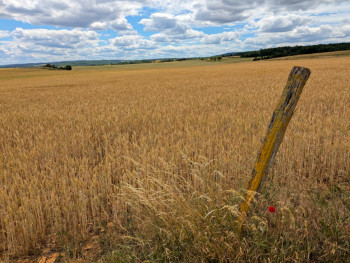 Savigny-le-Sec