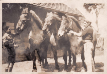 Trois chevaux et Henri Labelle, 1949