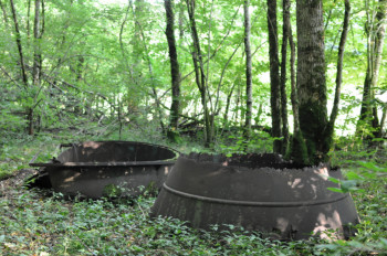 Val-Suzon, marmites charbonnières - Août 2013