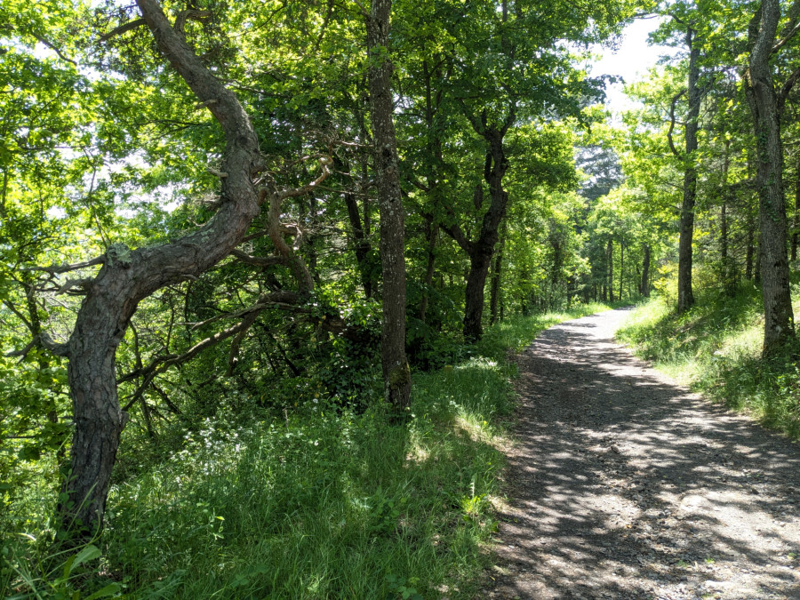 Chemin de Coubon - Mai 2025
